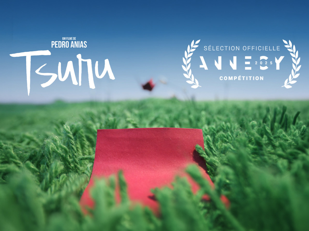 Motion portfolio preview